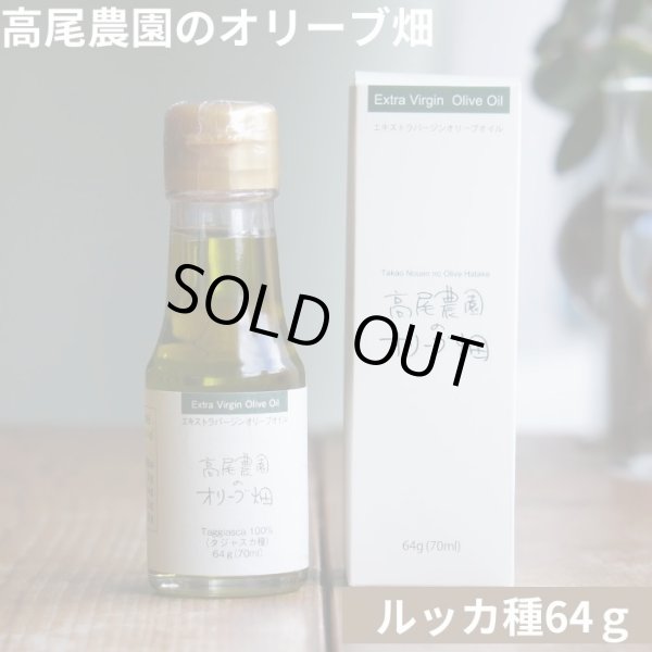 画像1: 入荷！2024年 　高尾農園のオリーブ畑　ルッカ種　６４ｇ　 (1)